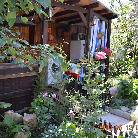 U Palycha Guest House Sukhumi Luaran gambar