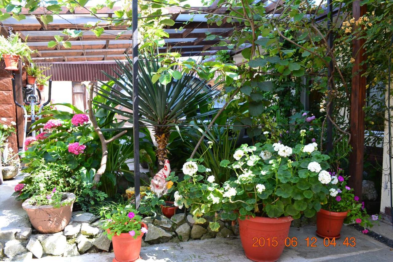 U Palycha Guest House Sukhumi Luaran gambar